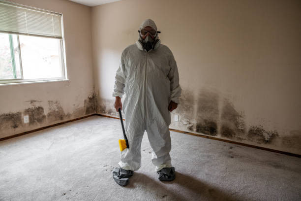 Best Residential Mold Removal  in Viera East, FL